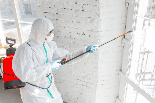 Best Comprehensive Air Testing for Mold Contaminants  in Pine Manor, FL